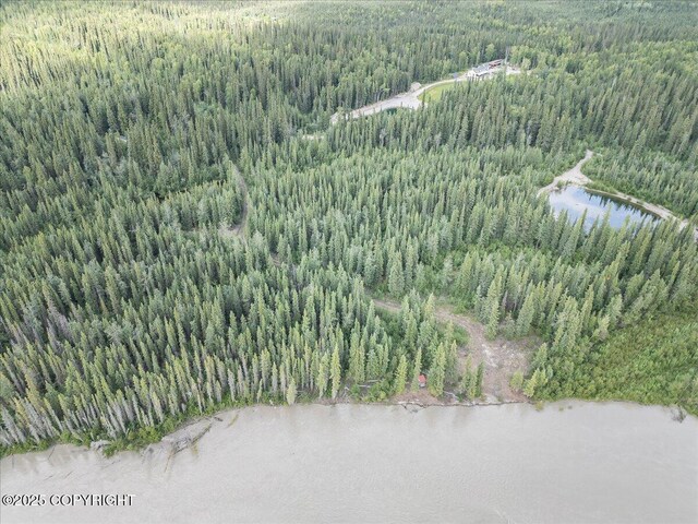 3995 Old Valdez Trl, Salcha, AK 99714 - photo 6