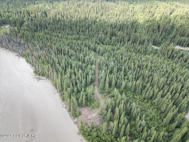 3995 Old Valdez Trl, Salcha, AK 99714 - photo 7