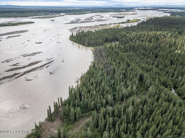 3995 Old Valdez Trl, Salcha, AK 99714 - photo 8