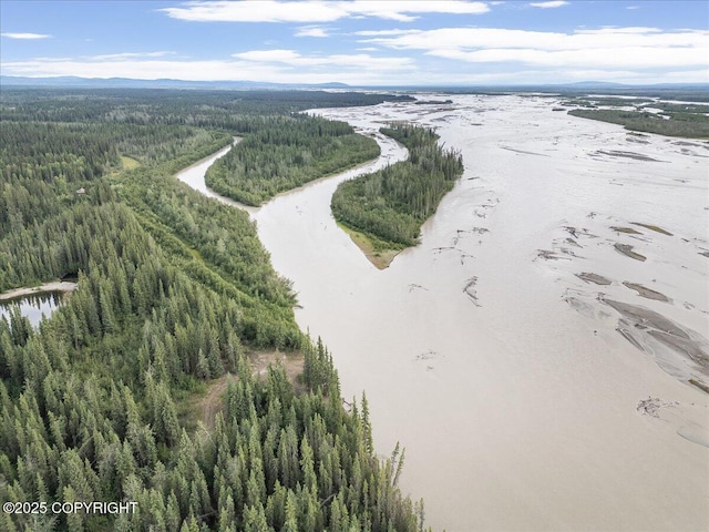 3995 Old Valdez Trl, Salcha, AK 99714 - photo 10