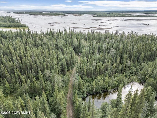 3995 Old Valdez Trl, Salcha, AK 99714 - photo 12