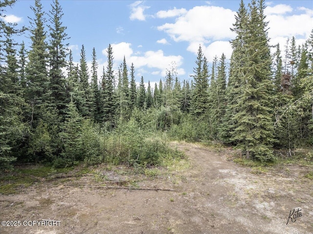 3995 Old Valdez Trl, Salcha, AK 99714 - photo 13