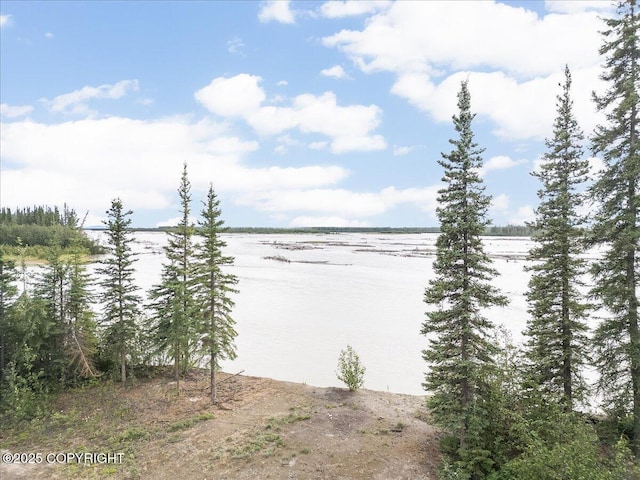 3995 Old Valdez Trl, Salcha, AK 99714 - photo 14