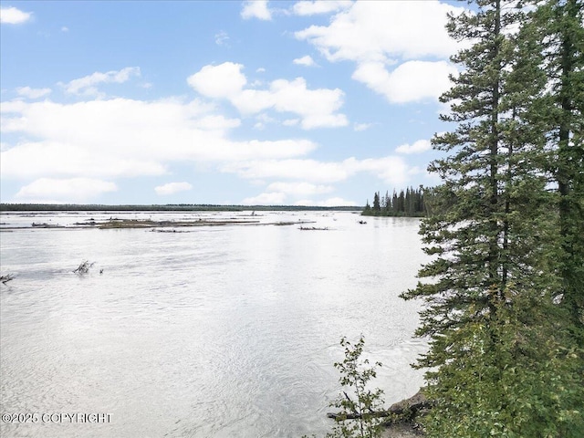 3995 Old Valdez Trl, Salcha, AK 99714 - photo 16