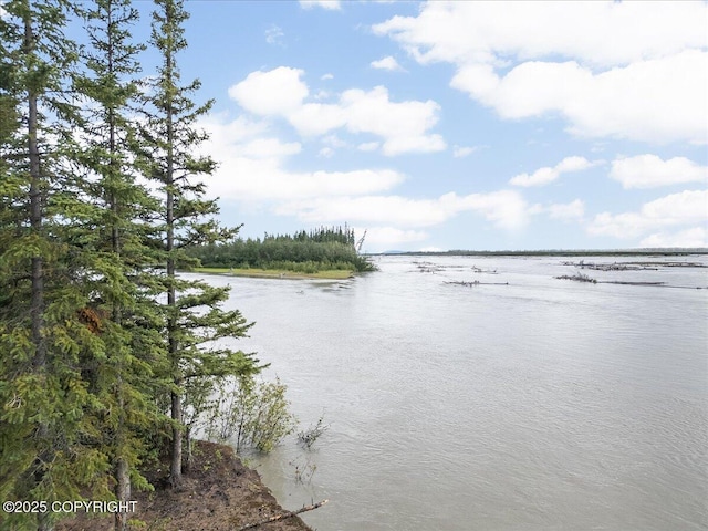 3995 Old Valdez Trl, Salcha, AK 99714 - photo 15