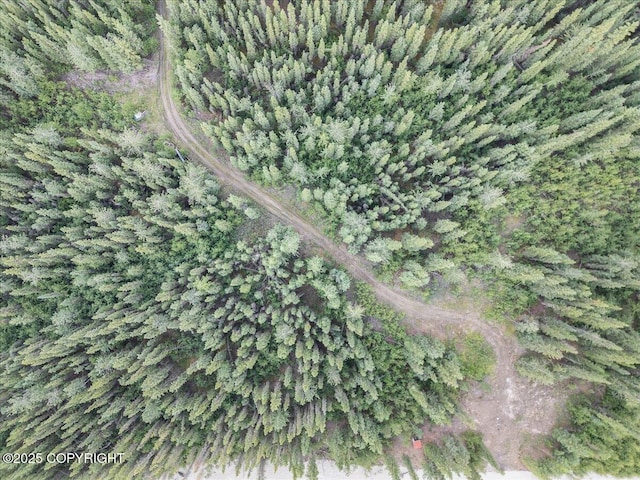 3995 Old Valdez Trl, Salcha, AK 99714 - photo 5