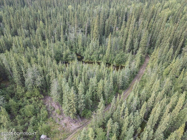 3995 Old Valdez Trl, Salcha, AK 99714 - photo 11