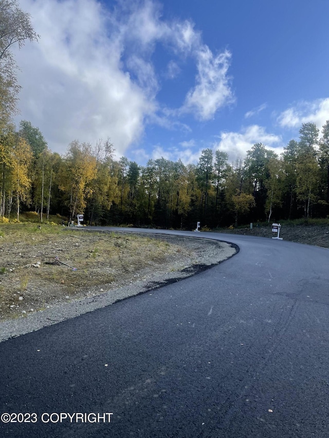 1765 N Lana Cir, Wasilla, AK 99654 - photo 43