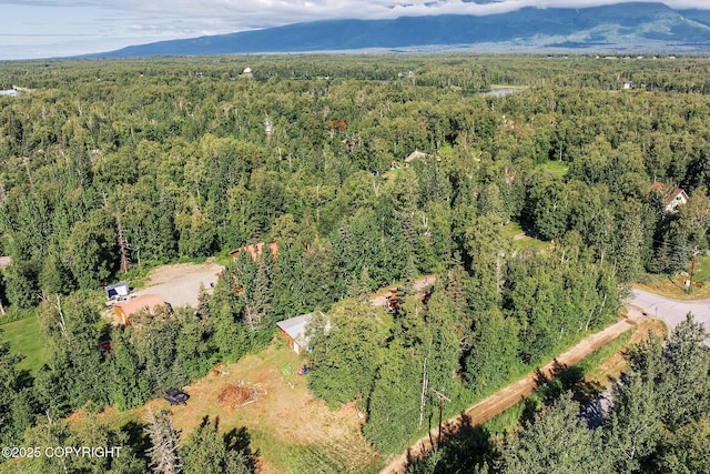 7160 E Beechcraft Rd, Wasilla, AK 99654 - photo 17