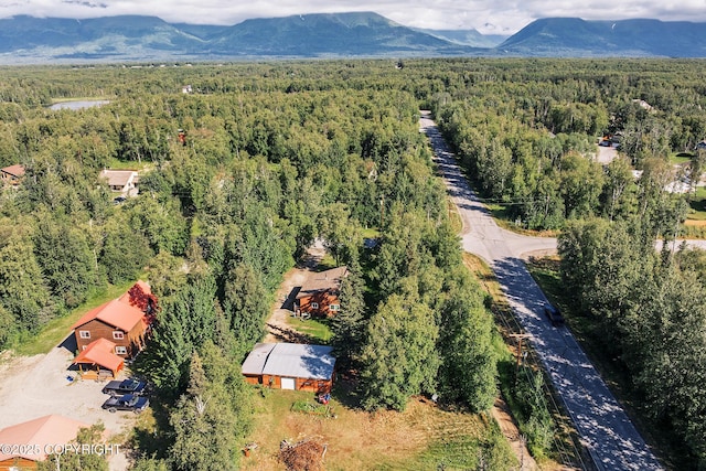 7160 E Beechcraft Rd, Wasilla, AK 99654 - photo 16