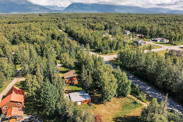 7160 E Beechcraft Rd, Wasilla, AK 99654 - photo 18