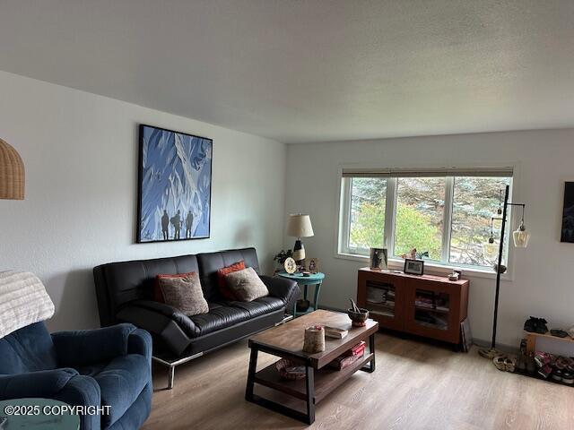 3631 Cloudberry Cir, Anchorage, AK 99507 - photo 5