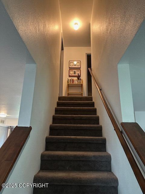 3631 Cloudberry Cir, Anchorage, AK 99507 - photo 14
