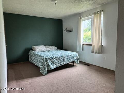 1614 Selief Ln, Kodiak, AK 99615 - photo 14