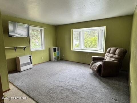 1614 Selief Ln, Kodiak, AK 99615 - photo 15