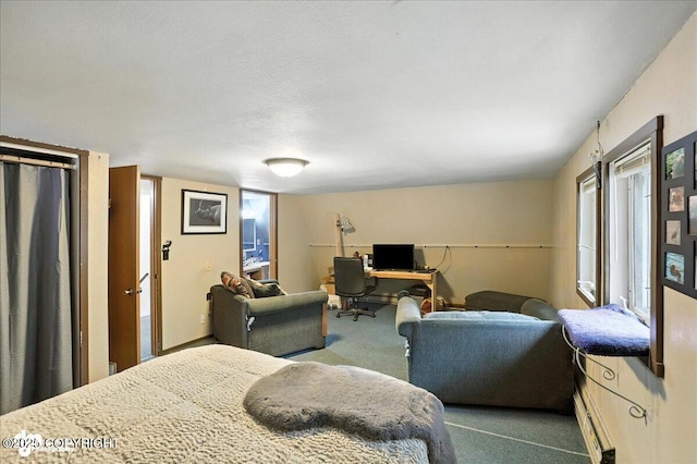 2000 N Eugene Dr, Palmer, AK 99645 - photo 24