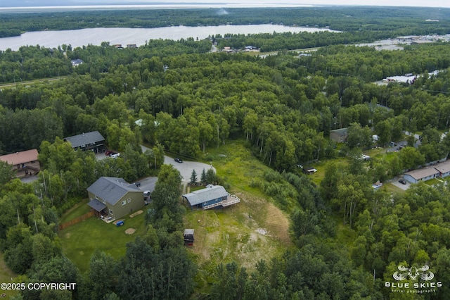581 N Robin Cir, Wasilla, AK 99654 - photo 9