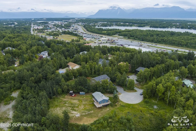 581 N Robin Cir, Wasilla, AK 99654 - photo 11