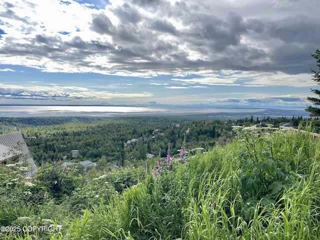 12855 Ginami St, Anchorage, AK 99516 - photo 4
