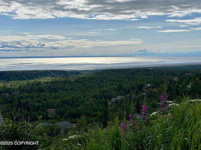 12855 Ginami St, Anchorage, AK 99516 - photo 7