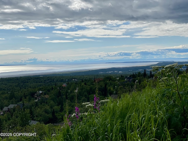 12855 Ginami St, Anchorage, AK 99516 - photo 8
