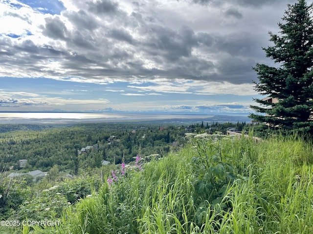 12855 Ginami St, Anchorage, AK 99516 - photo 3