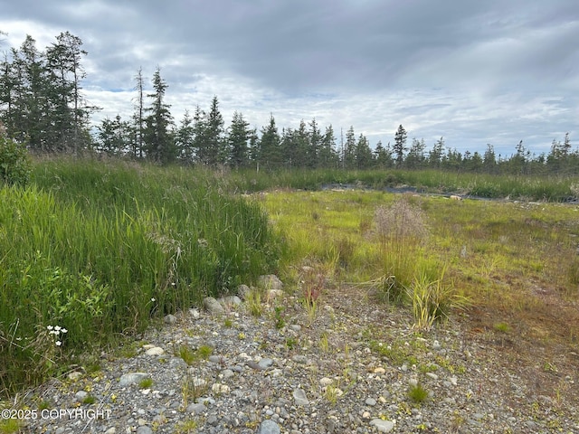4853 Kachemak Dr, Homer, AK 99603 - photo 1