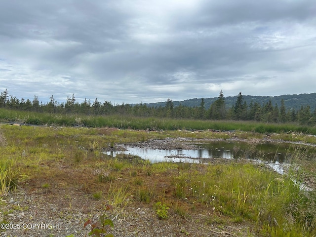 4853 Kachemak Dr, Homer, AK 99603 - photo 2
