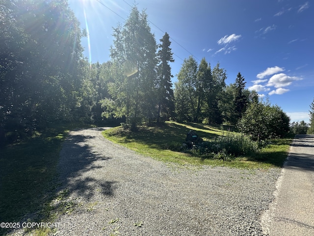 25220 Schaff Dr, Chugiak, AK 99567 - photo 15