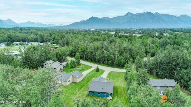 840 S Park Pl, Palmer, AK 99645 - photo 30