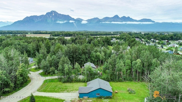 840 S Park Pl, Palmer, AK 99645 - photo 33