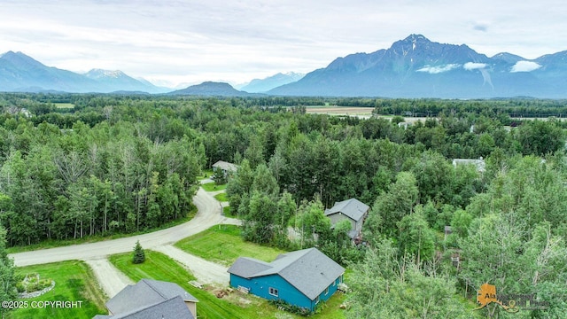 840 S Park Pl, Palmer, AK 99645 - photo 34