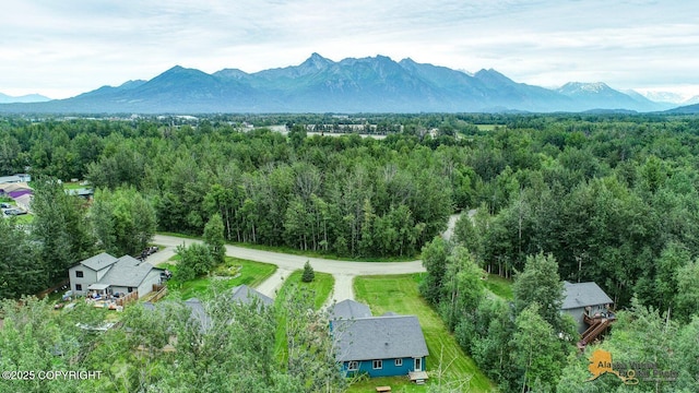 840 S Park Pl, Palmer, AK 99645 - photo 35