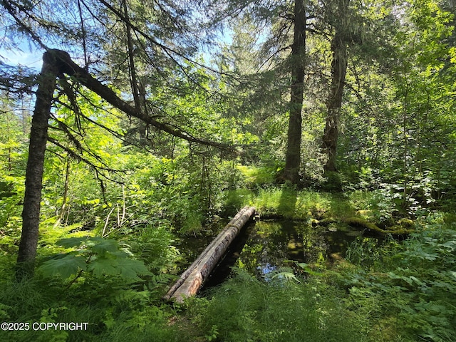 7450 Richardson Hwy, Valdez, AK 99686 - photo 4
