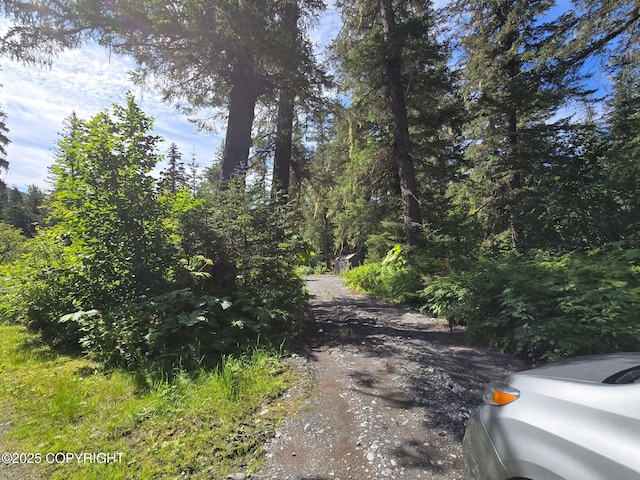 7450 Richardson Hwy, Valdez, AK 99686 - photo 5
