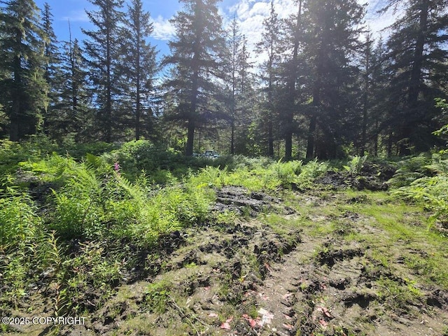 7450 Richardson Hwy, Valdez, AK 99686 - photo 7