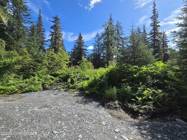 7450 Richardson Hwy, Valdez, AK 99686 - photo 8