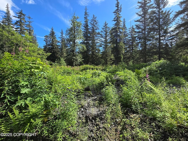 7450 Richardson Hwy, Valdez, AK 99686 - photo 2