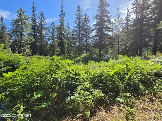 7450 Richardson Hwy, Valdez, AK 99686 - photo 9