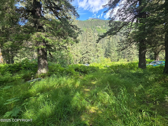 7450 Richardson Hwy, Valdez, AK 99686 - photo 10
