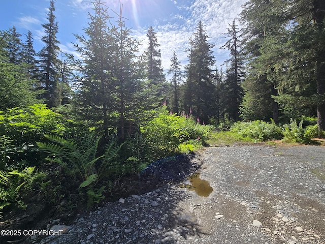 7450 Richardson Hwy, Valdez, AK 99686 - photo 1