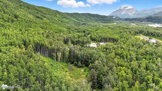 13630 E Kings River Dr, Sutton, AK 99674 - photo 1