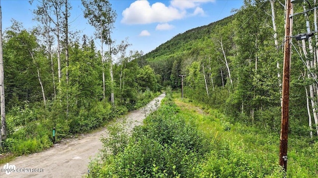 13630 E Kings River Dr, Sutton, AK 99674 - photo 2