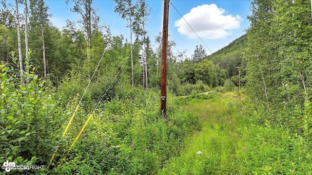 13630 E Kings River Dr, Sutton, AK 99674 - photo 3