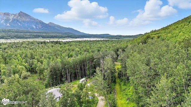 13630 E Kings River Dr, Sutton, AK 99674 - photo 4