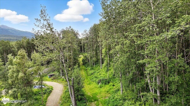 13630 E Kings River Dr, Sutton, AK 99674 - photo 5