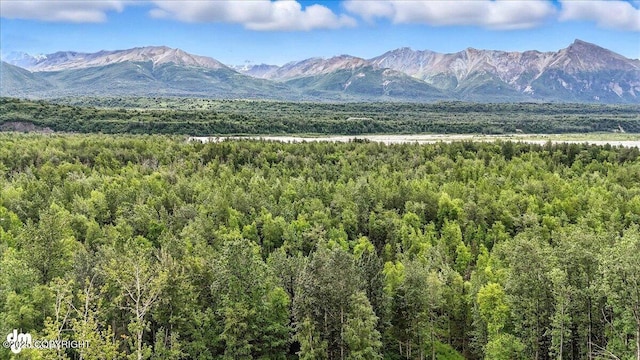 13630 E Kings River Dr, Sutton, AK 99674 - photo 6