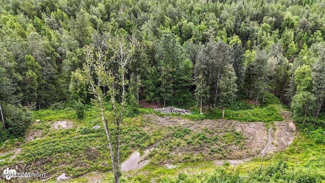 13630 E Kings River Dr, Sutton, AK 99674 - photo 7