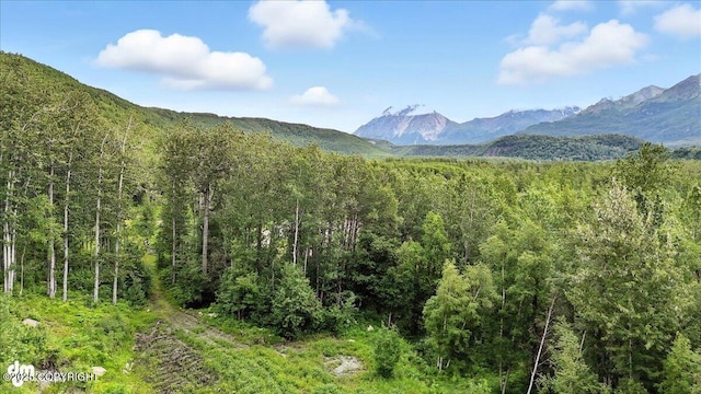 13630 E Kings River Dr, Sutton, AK 99674 - photo 9