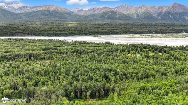 13630 E Kings River Dr, Sutton, AK 99674 - photo 10